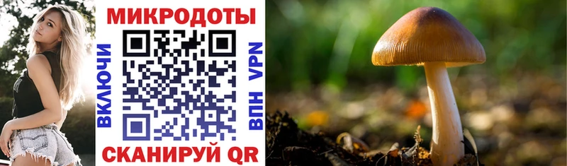 Псилоцибиновые грибы мухоморы Елабуга