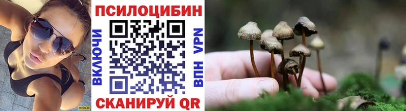 Псилоцибиновые грибы Psilocybine cubensis Елабуга