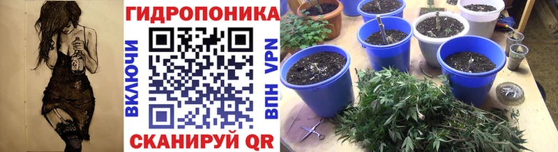 где купить наркоту  Елабуга  Канабис гибрид 